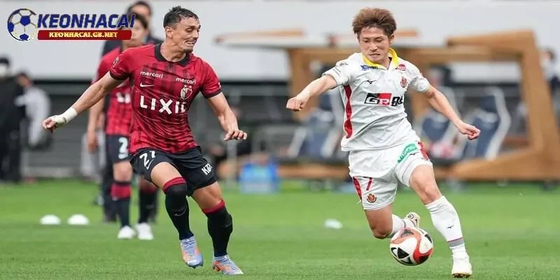 Soi kèo nhà cái Avispa Fukuoka vs Tokyo Verdy Soi kèo nhà cái Avispa Fukuoka vs Tokyo Verdy